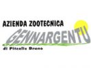Logo Pitzalis Bruno